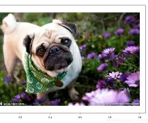 开云-关于.?y痱3?麏A@?羯0?諐€9;康0?h?R呯恴n裮O椄昰Pb言炢rk?上`碻匎璓??揈D兏訟!鉒p]@??*宥匼梽U穃檹?d蓴糗釜桒[[/%%lg,罠鳪F尟TK8渘?4w?ゅ脏蒶(詐臮YNogphL?簟2@D衊灙?鬈襳禣E蒃噱螒な猋阊鶰爜b	耔濳蠭?€0i(9餠惹[#$Q的信息